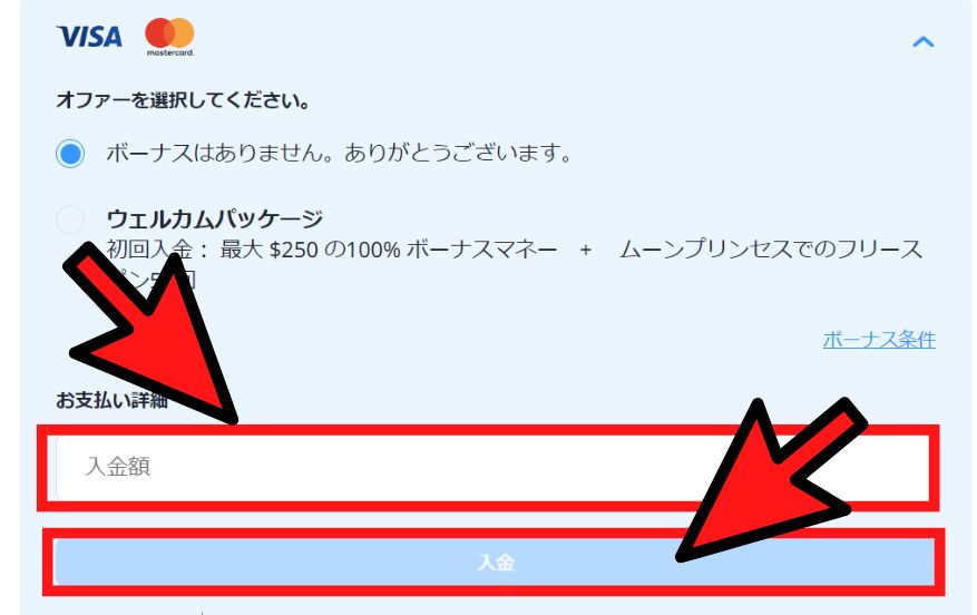 ツインカジノの入金方法３