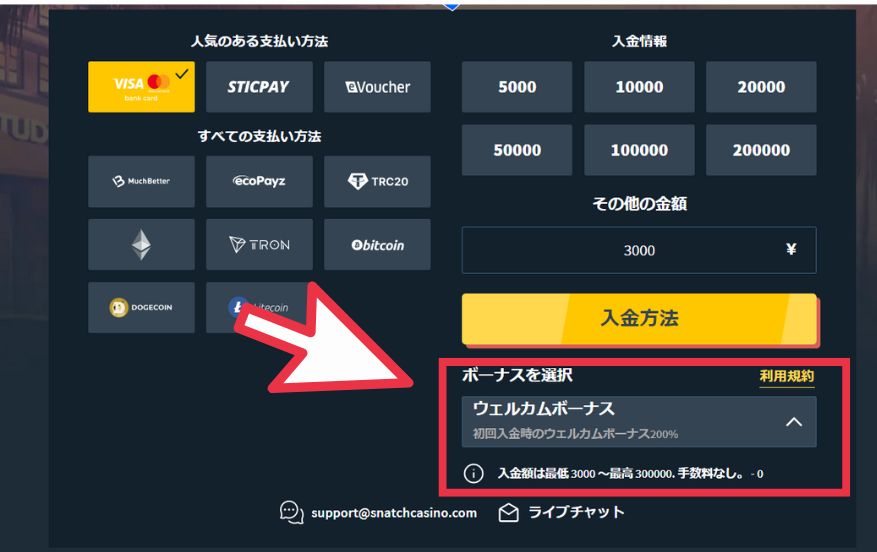 スナッチカジノに入金する際にボーナスを選択する様子