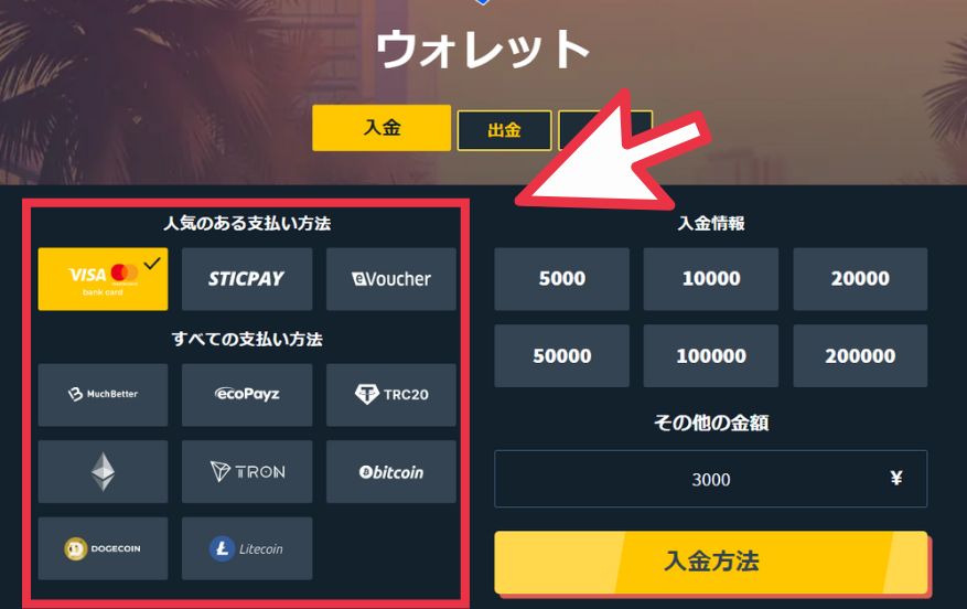 スナッチカジノに入金する際に入金方法を選択する様子