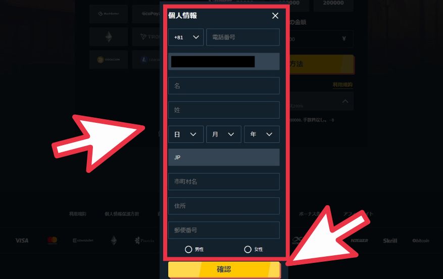 スナッチカジノに入金する際に個人情報を登録する様子