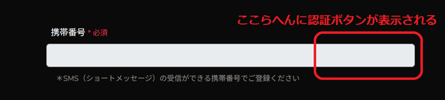 ワンダーカジノで携帯番号認証をする